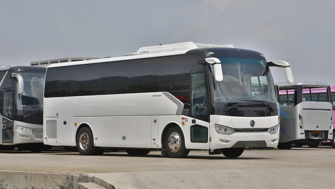 Golden Dragon 6952
